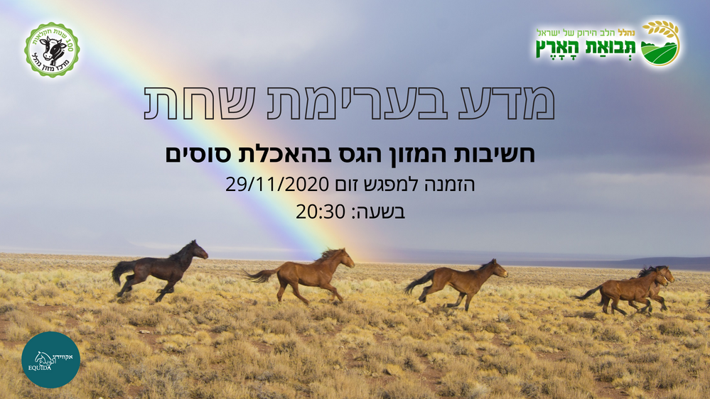 מדע בערמת שחת - חשיבות המזון הגס בהזנת סוסים